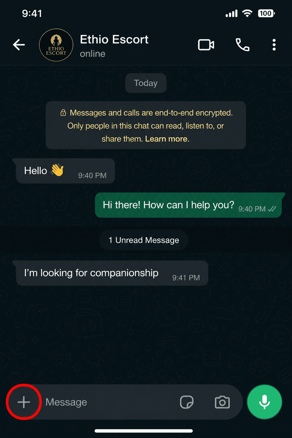 WhatsApp chat with Ethio Escort — tap the plus attachment button